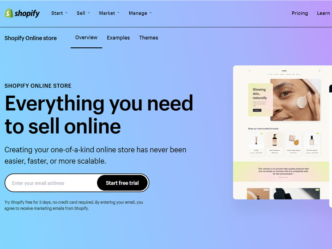 A Shopify website – Is it right for my business?